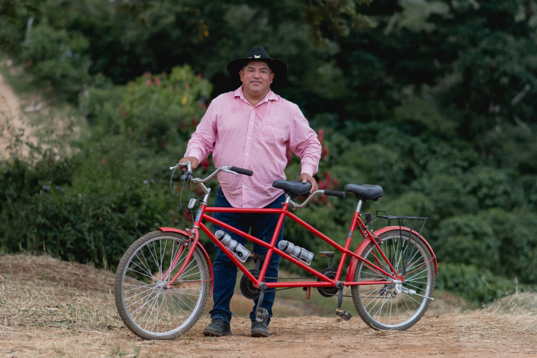 Cuál Bicicleta