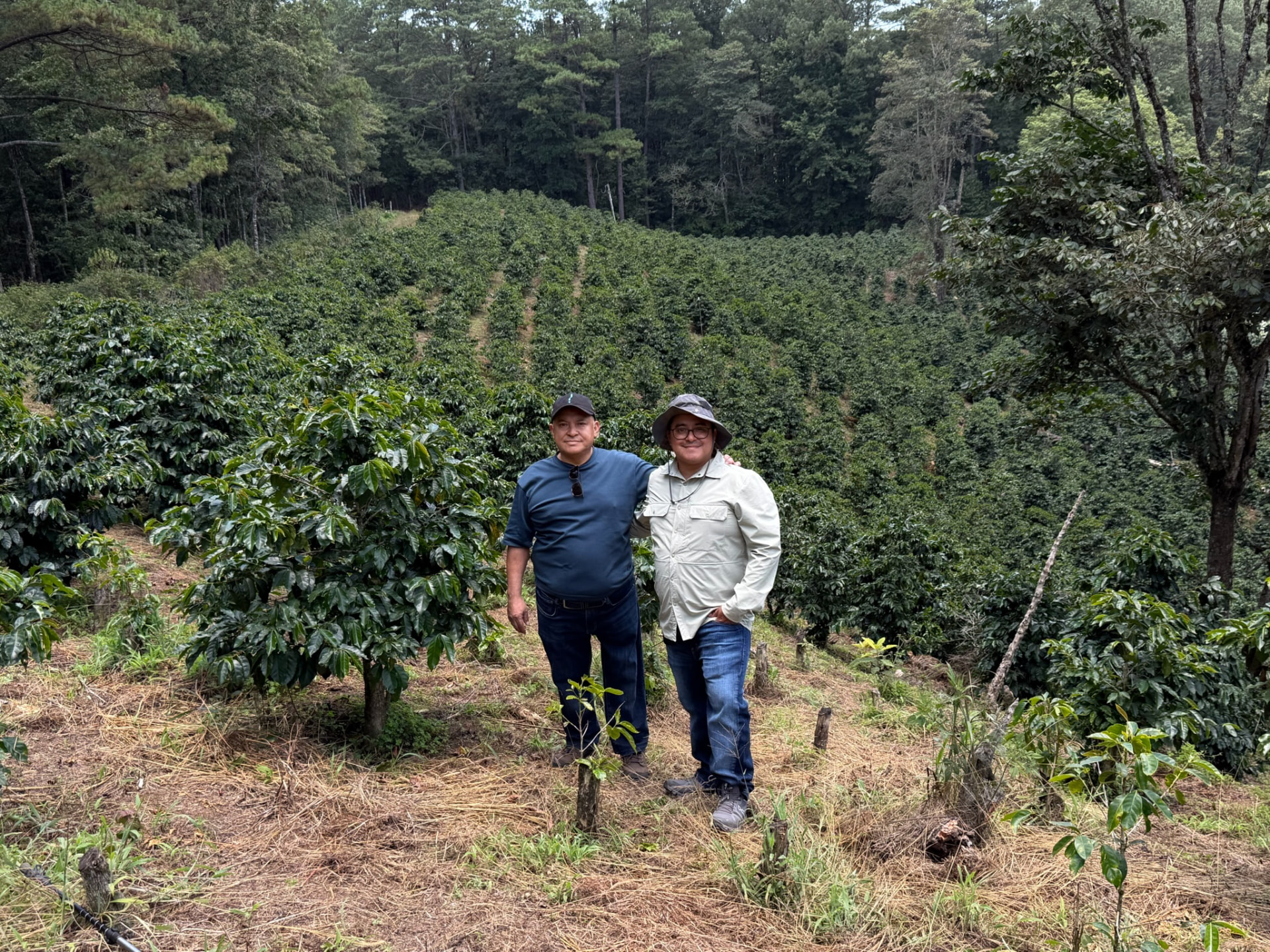 Waca Farms