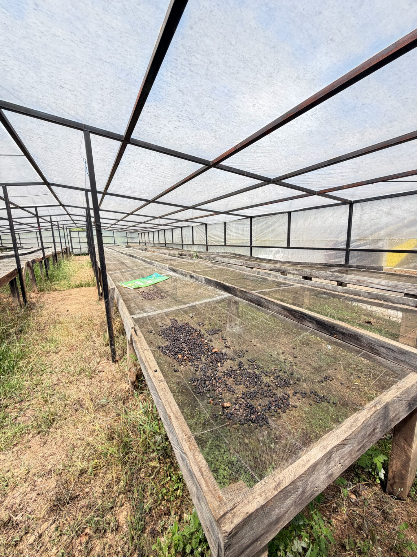 Waca Farms — photo 2