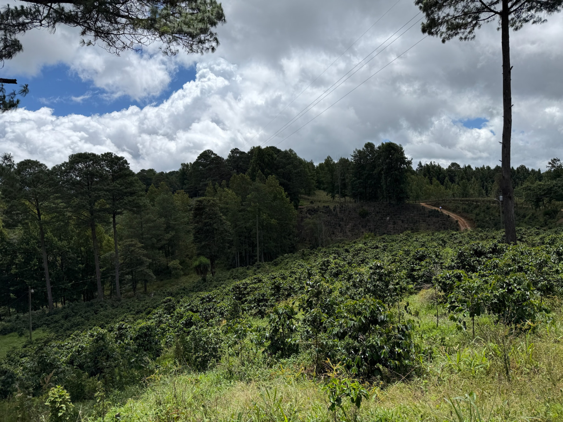 Waca Farms — photo 1